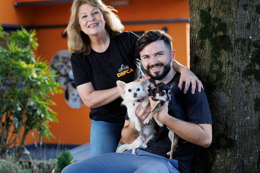 Orange Smarty Placeholder Logo