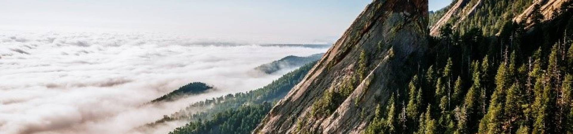 UK Indies Placeholder Logo